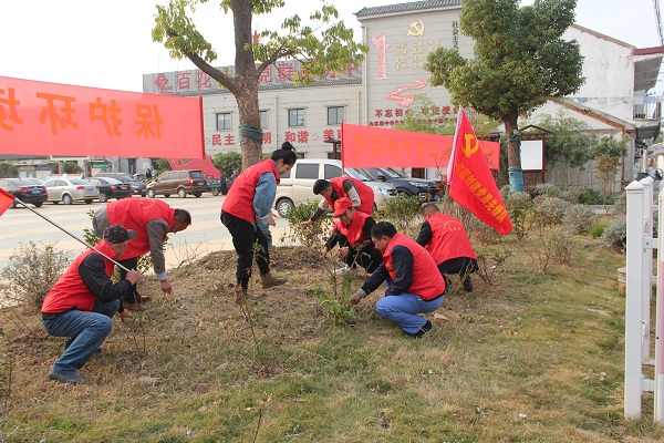 百花.jpg