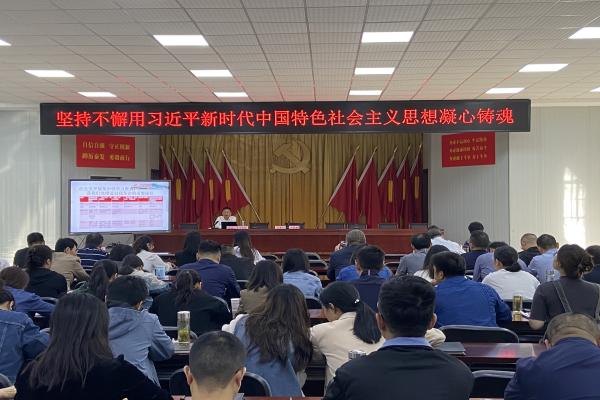 長豐(雙鳳)經開區(qū):“三個聚焦”推動黨員教育提質增效1.jpg