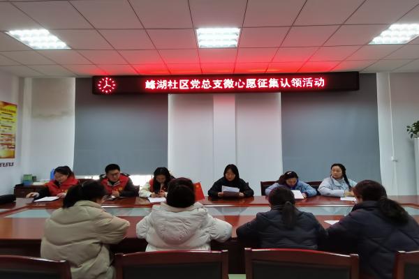 長(zhǎng)豐(雙鳳)經(jīng)開區(qū):上好“三堂課”為黨員教育管理提質(zhì)增效1.jpg