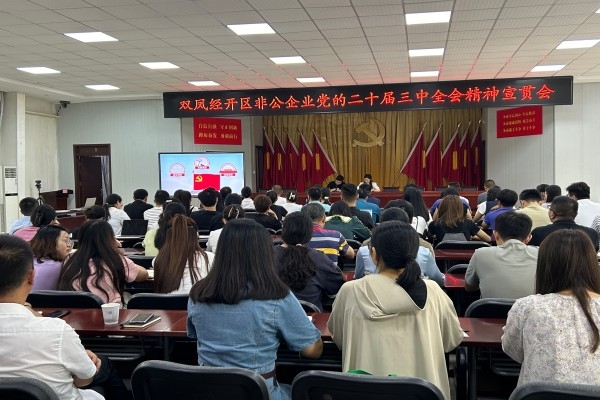 徐橋社區 突出“三性”為非公企業黨員教育賦能提質增效 陳安鳳、杜曼曼1.jpg