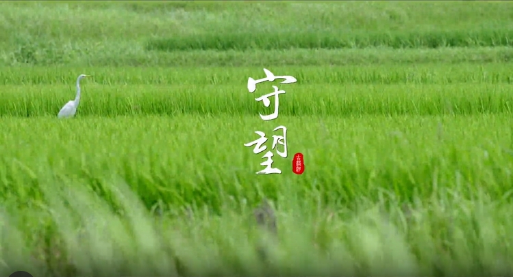 《守望》